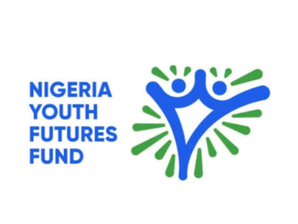 NYFF Grants 2026: The Youth Leadership Development Fund Now Open for Nigerian Youths